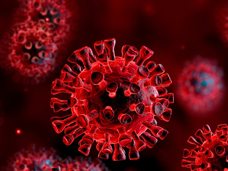 How to avoid the Coronavirus during quarantine?